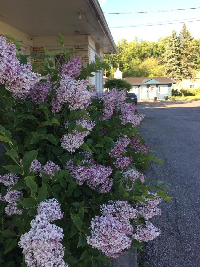 Motel Le Jardin Quebec City Ngoại thất bức ảnh